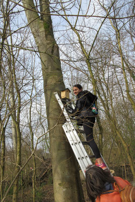 Nestkastjes ophangen