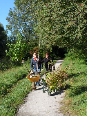 Nog meer bomen en struiken