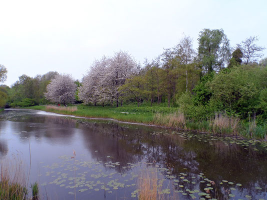 Langs de gracht