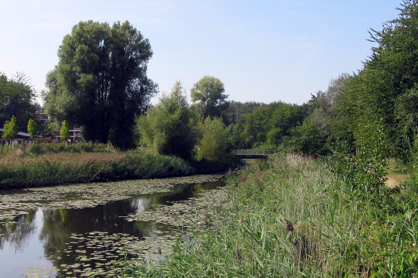 Voedselbos park Uithof