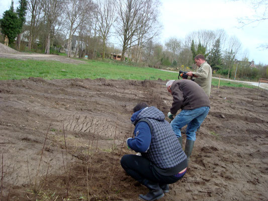 Op een rij