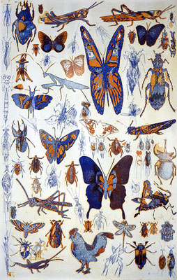 “70 / bugs and hoppers“, Farbradierung von zwei Platten, 64 x 46 cm, auf Kupferdruckbütten