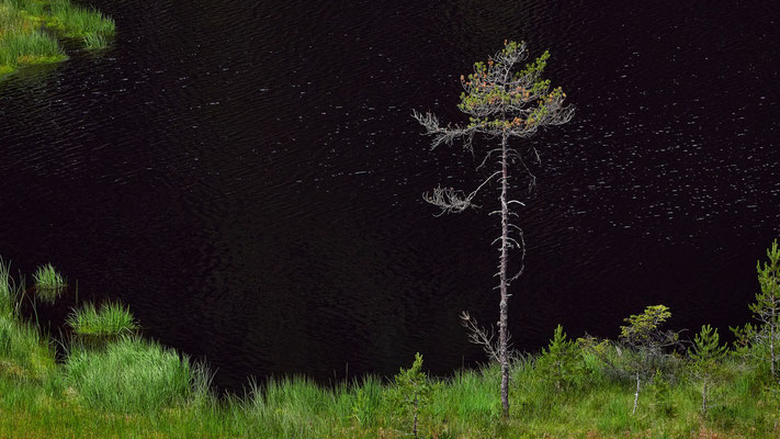 Foto: Conny Zöller