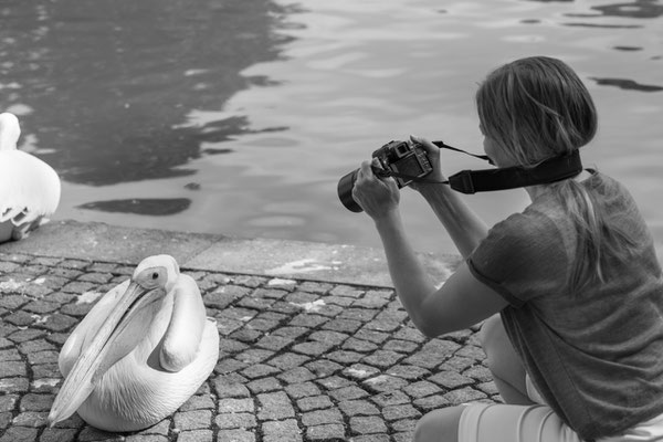 ©Astrid Hansen