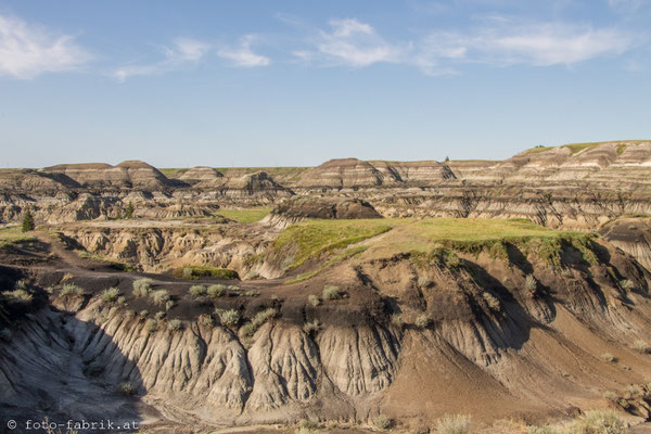Horseshoe Canyon, Alberta