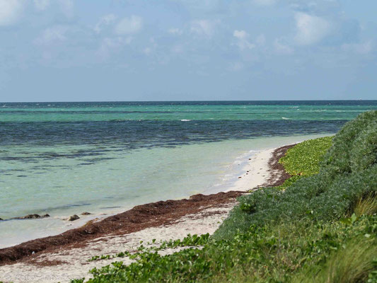 Bahia Honda State Park, Florida Keys.
