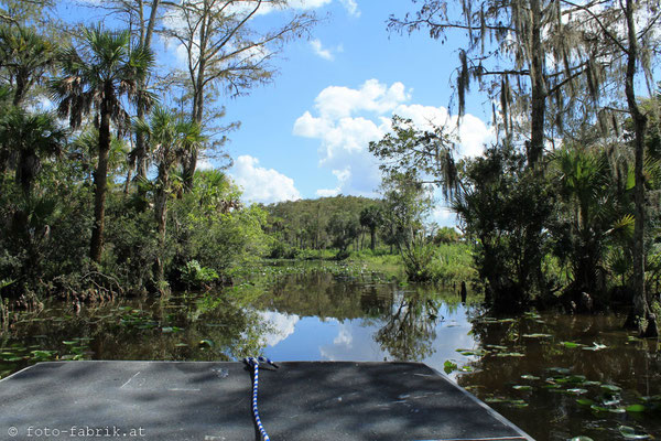 Everglades.