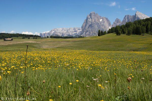 Dolomiti: Seiser Alm.