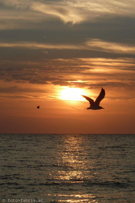 Fort Myers, Golfküste.
