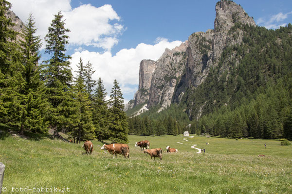 Dolomiti: Wanderung Langental.