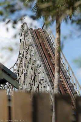 Busch Gardens, Tampa.