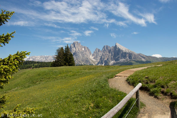 Dolomiti: Seiser Alm.