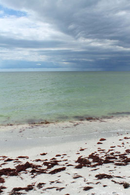 Sanibel Island, Golfküste.