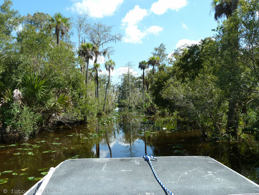 Everglades.