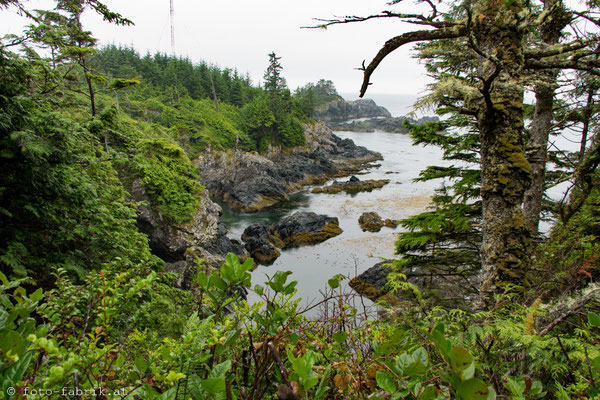 Wild Pacific Trail, Vancouver Island