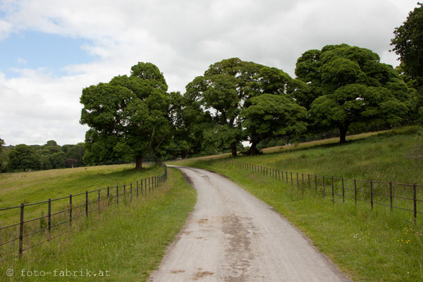 Killarney.