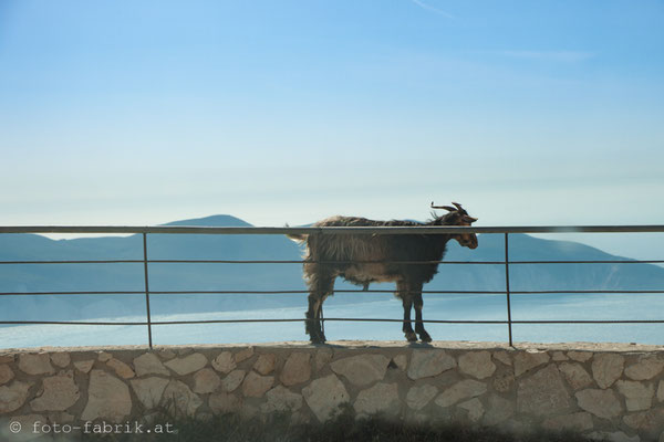 Kefalonia.