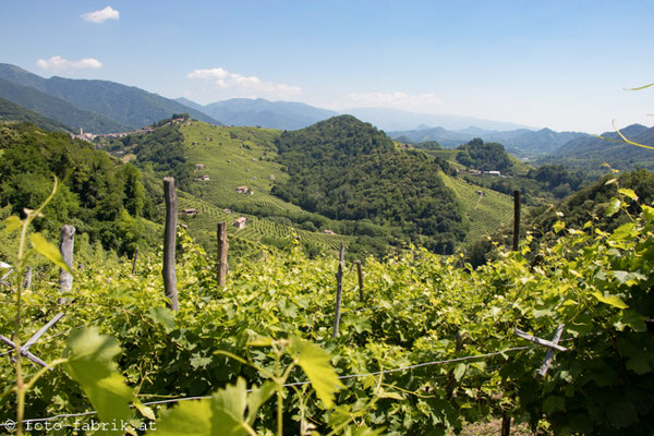 Prosecco-Straße.