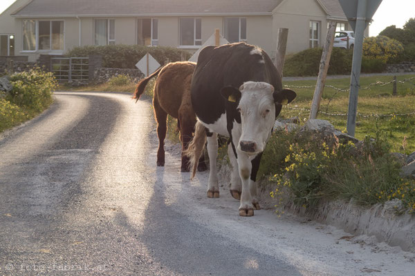 Connemara. Heile Welt :)...