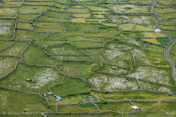 Scenic Flight Arann Islands & Cliffs of Moher.