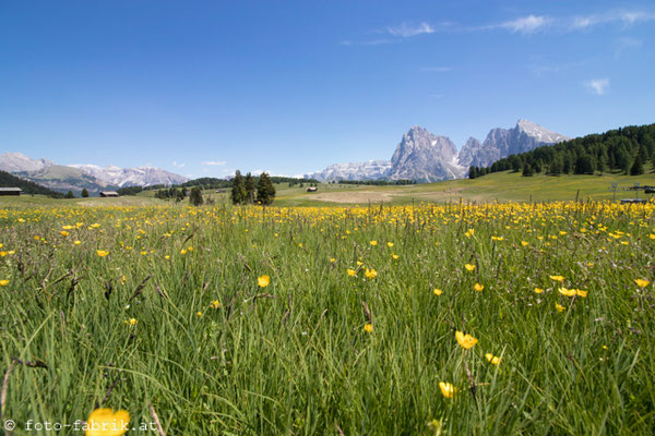 Dolomiti: Seiser Alm.
