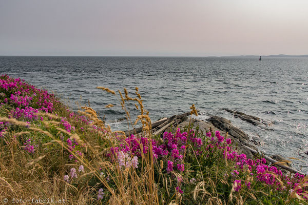 Victoria, Vancouver Island