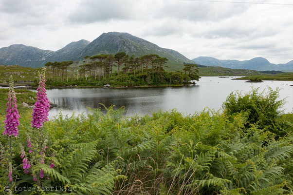 Connemara.