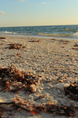 Vanderbilt Beach, Westküste.