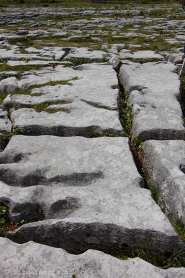 The Burren.