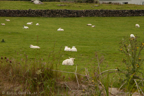 Dingle Peninsula.