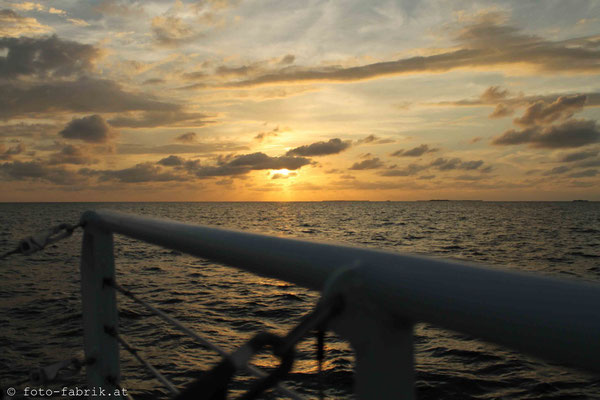 In den Sonnenuntergang segeln. Key West.