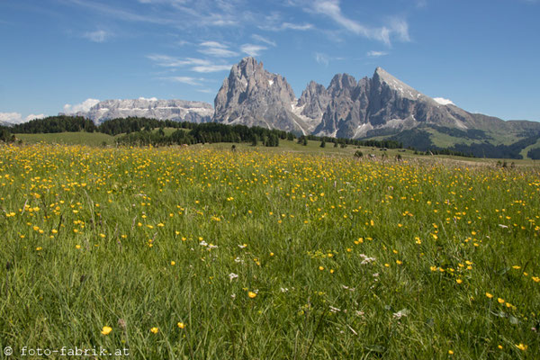Dolomiti: Seiser Alm.