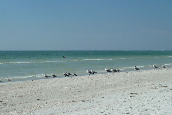 Fort Myers, Golfküste.