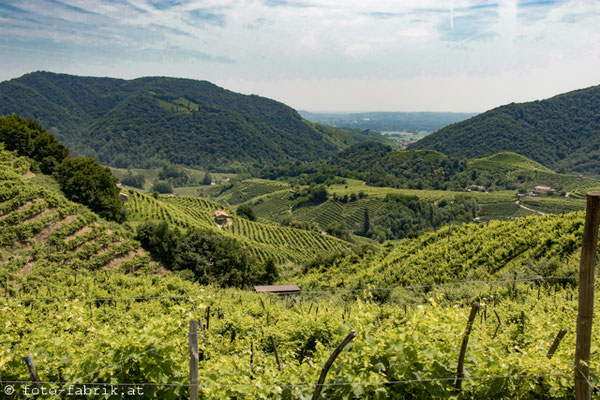 Prosecco-Straße.