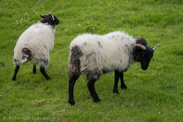 Connemara.