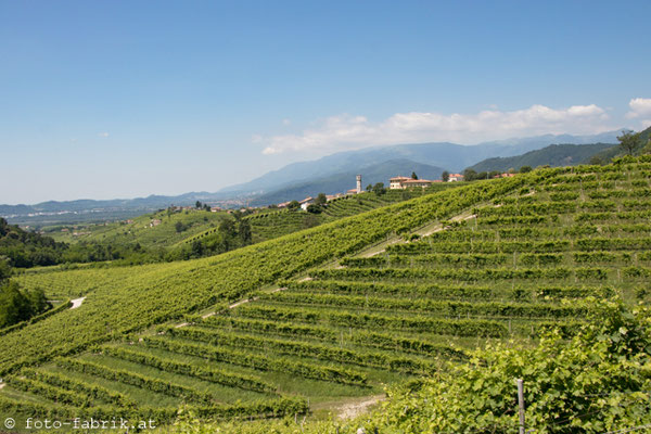 Prosecco-Straße.