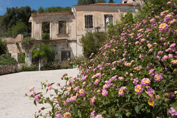 Kefalonia - Assos.