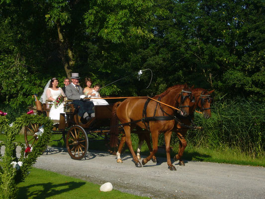 Hochzeitskutschen Mieten Fur Hannover Und Umland