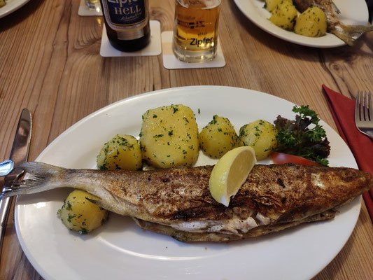Eine Reinanke aus dem Mondsee - lecker!