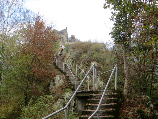 Das Ziel ist in Sicht!