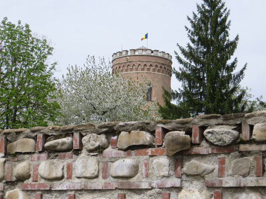 Der markante Chindia-Turm von der angrenzenden Parkseite