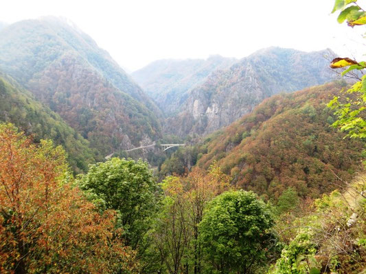 Blick auf die Transfagarasan (Hochalpinenstraße Walachei-Transsilvanien)