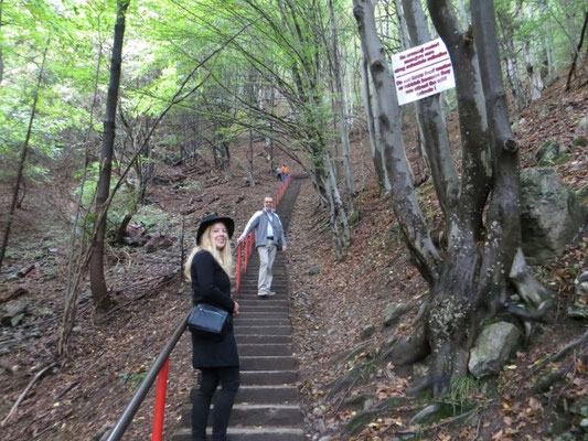 Noch lachen wir, als wir die ersten Stufen nehmen, die uns durch einen Wald führt