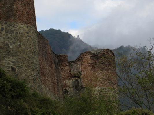 Nebel zieht aus den Niederungen empor - wie passend!