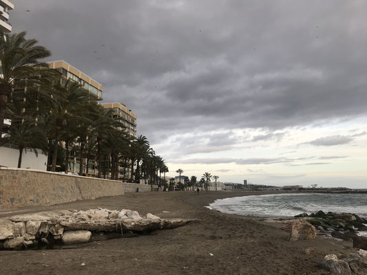 Voyage d'études Sotogrande / Visite de la Sotogrande International School 31.01.2019 / (c) www.effep.eu