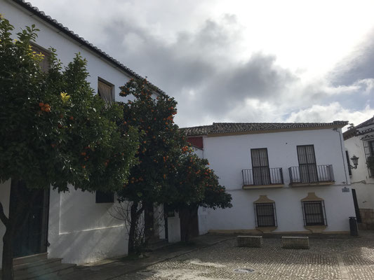 Voyage d'études Sotogrande / Visite Ronda 30.01.2019 / (c) www.effep.eu