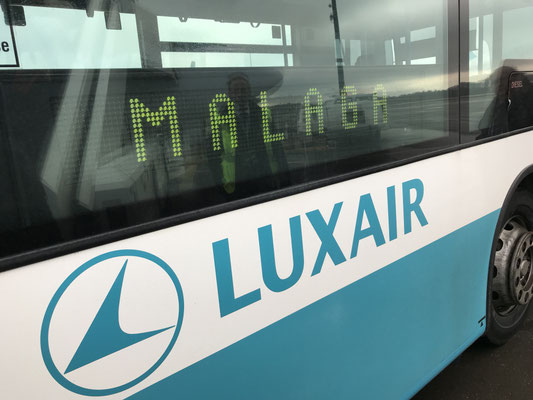 Voyage d'études Sotogrande / Visite Málaga 29.01.2019 / (c) www.effep.eu