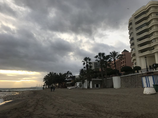 Voyage d'études Sotogrande / Visite de la Sotogrande International School 31.01.2019 / (c) www.effep.eu