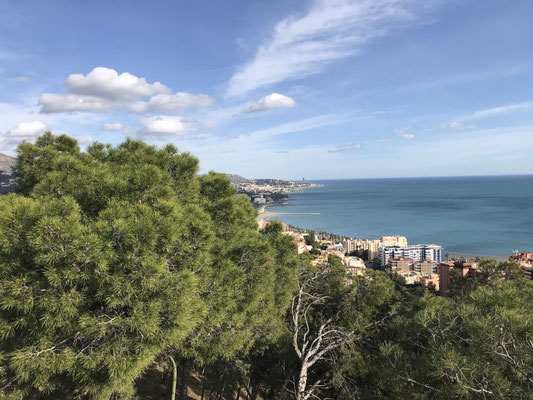 Voyage d'études Sotogrande / Visite Málaga 29.01.2019 / (c) www.effep.eu