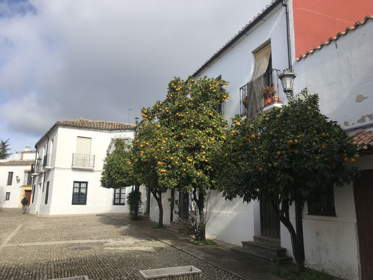 Voyage d'études Sotogrande / Visite Ronda 30.01.2019 / (c) www.effep.eu